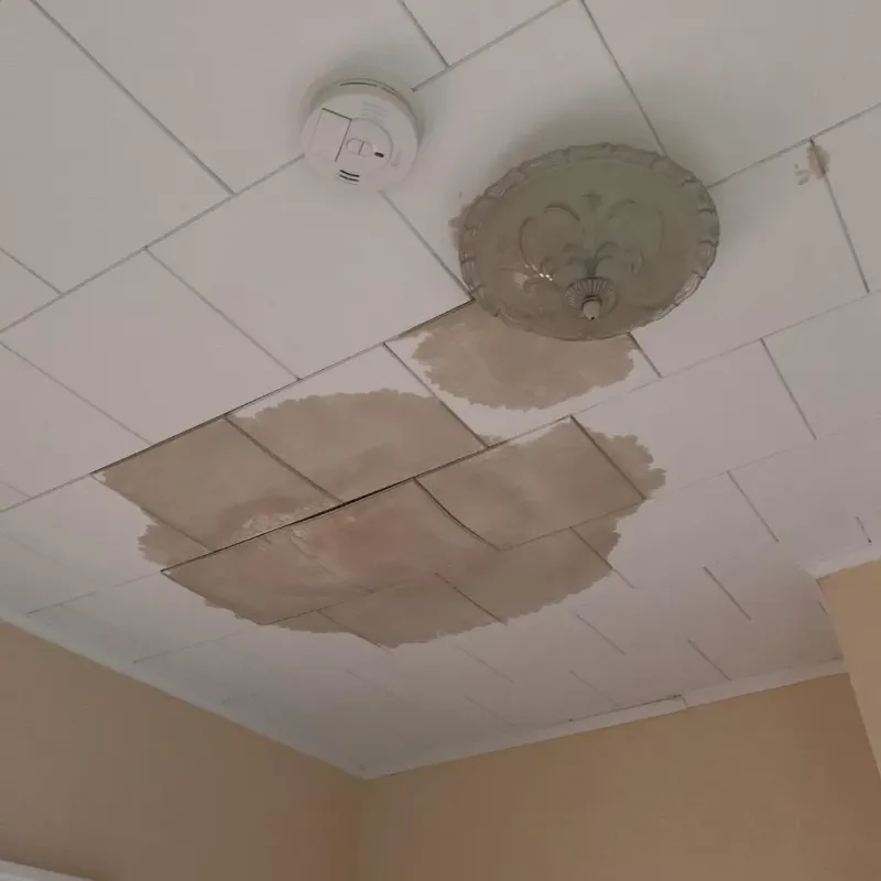 Ceiling Water Damage Repair in Apple Mountain Lake, VA