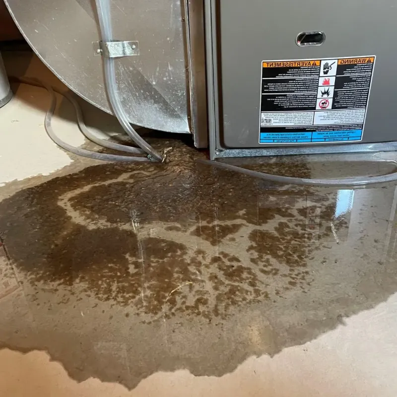 Pipe Burst and Leak Restoration in Apple Mountain Lake, VA